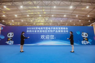 2019川貨電商節(jié)暨電子商務(wù)發(fā)展峰會 以技術(shù)開發(fā)為引擎，推動川貨走向世界